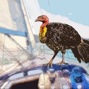 Bird of Privilege