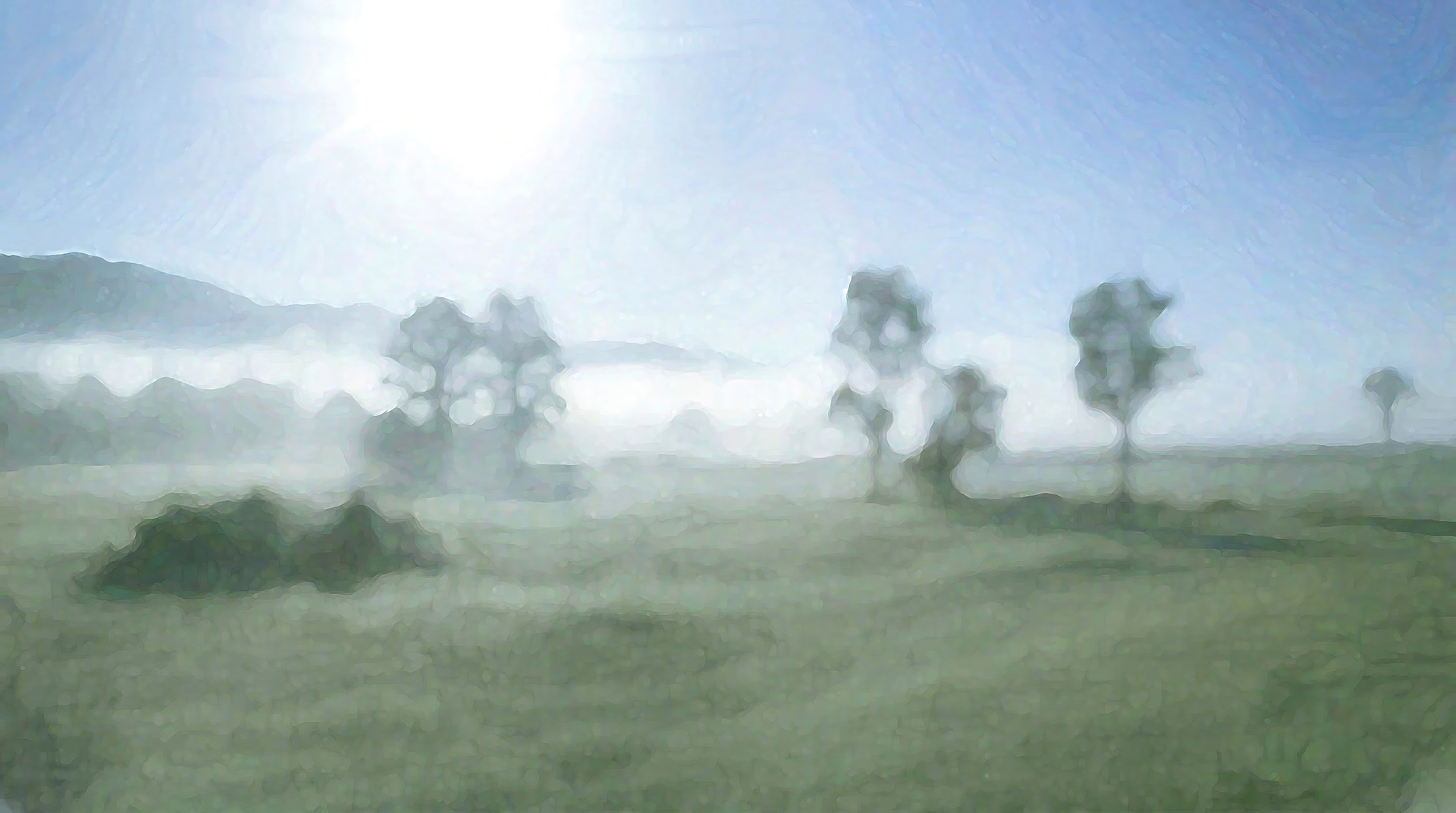 Foggy, 7:00am