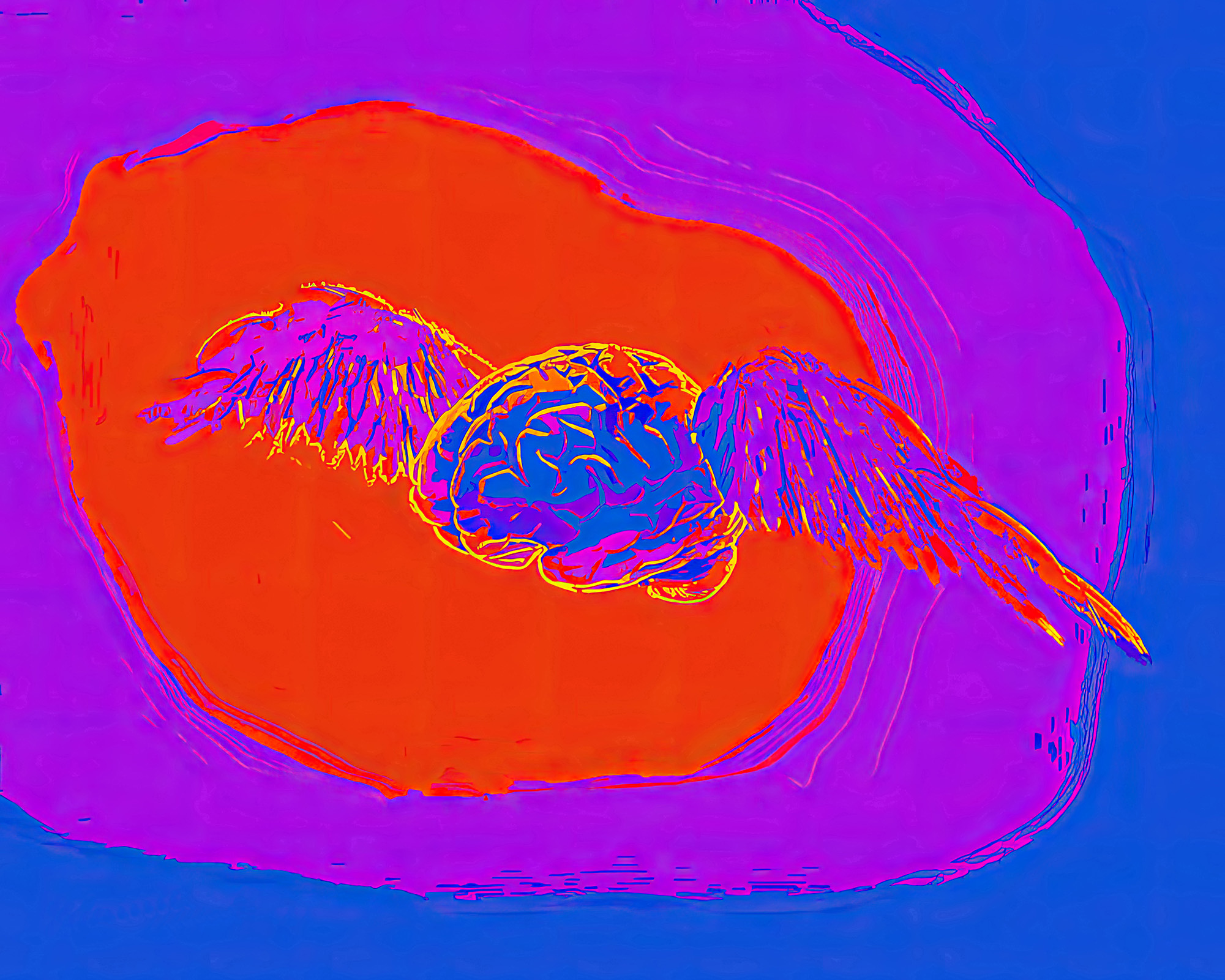 Whispers of Thought 1