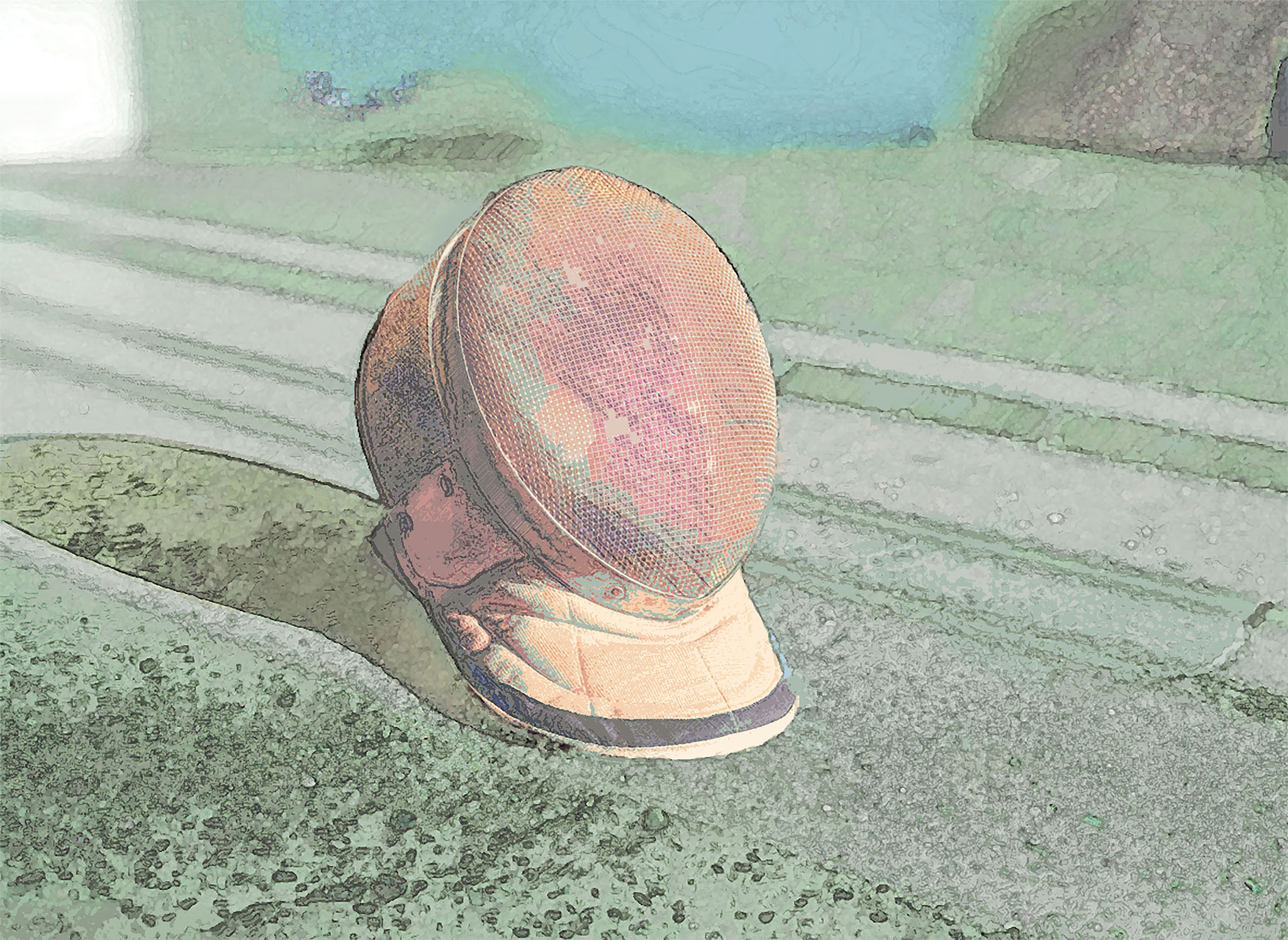 Fencing Mask