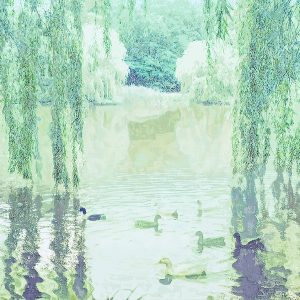 Musgrave Pond