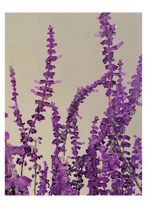 Tall Flowers