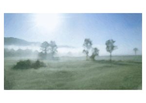 Foggy, 7:00am